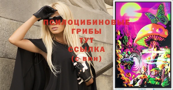 сатива Алзамай