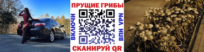 Галлюциногенные грибы ЛСД  наркошоп  Байкальск 